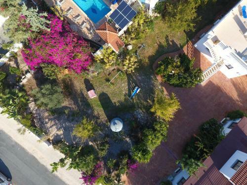 Coral Cypria Villa
