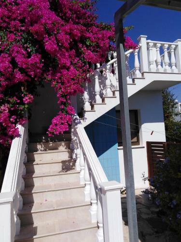 Coral Cypria Villa