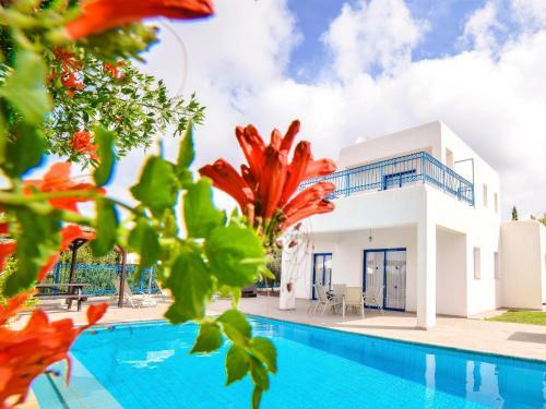 Azzurro Holiday Villa Apollonas By Sanders