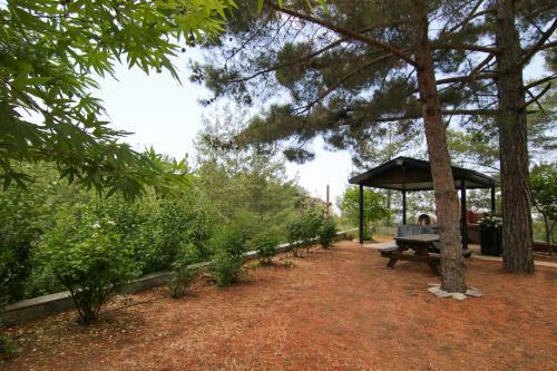 Phaedrus Living: Forest View Luxury Villa Chantara
