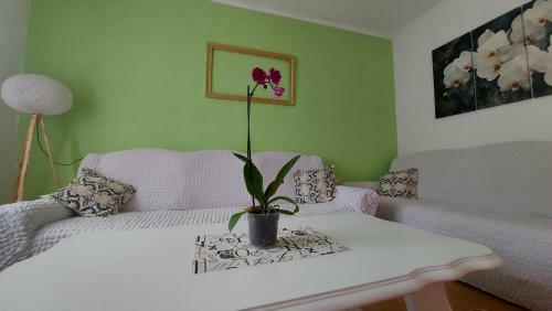 Apartman Orhideja