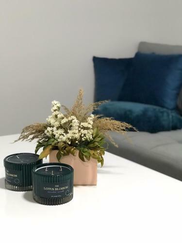 Apartman Milica