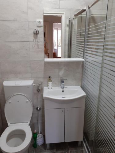 Apartman Sneza