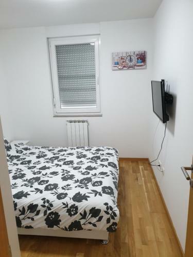 Apartamento Palm Tree