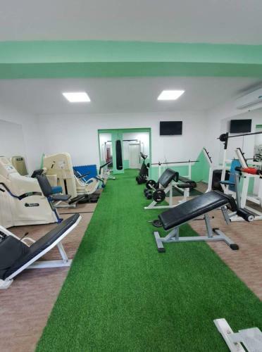 Apartman Vany