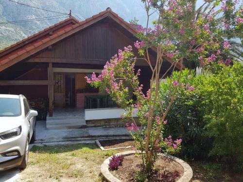 Villa Palma