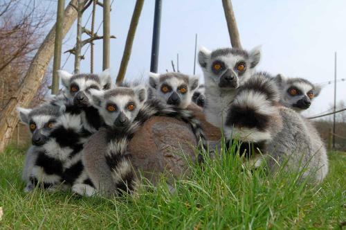 Agroturismo Ree Park Safari
