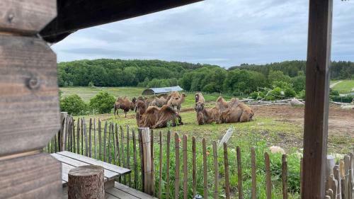 Agroturismo Ree Park Safari