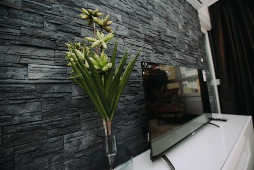 Apartamento Stan Na Dan Centar 53