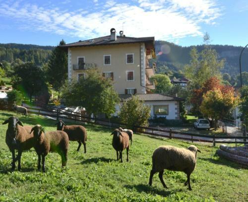 Hotel Albergo Aurora