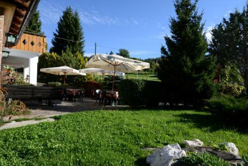 Hotel Albergo Aurora