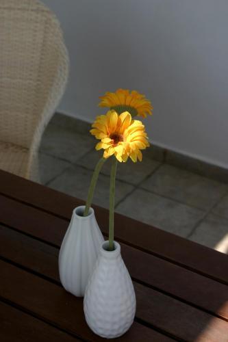 Apartamento Niriides
