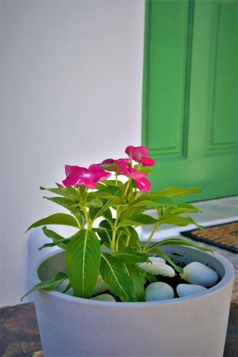 Hostal Moraitis Studios