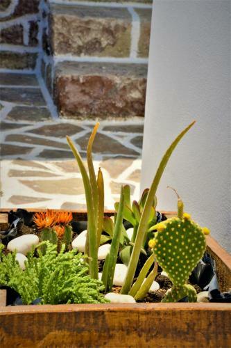 Hostal Moraitis Studios