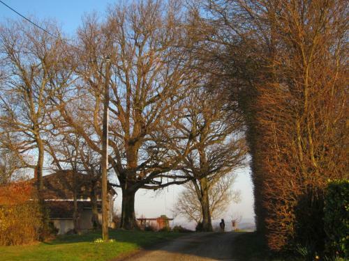 Bed & Breakfast La Ferme Du Bascou