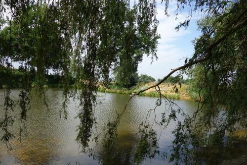 Bed & Breakfast La Ferme Du Bascou