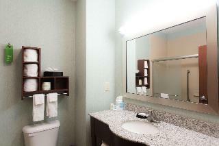 Hotel Hampton Inn & Suites Middlebury