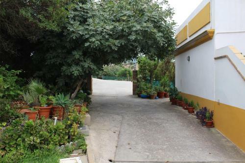 Apartamentos Bolonia Paraiso