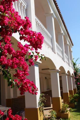 Apartamentos Bolonia Paraiso