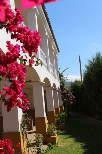 Apartamentos Bolonia Paraiso