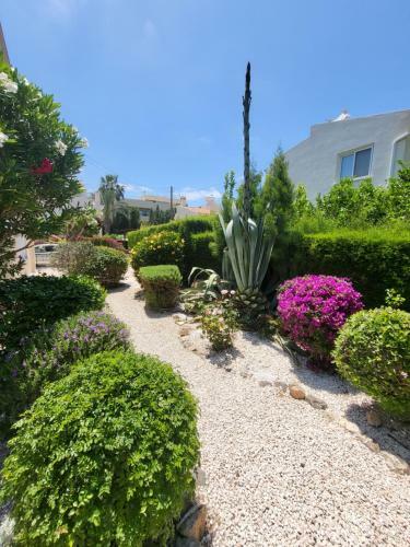 Beautiful Villa D Coral Bay