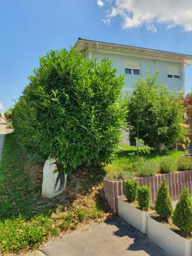 Hostal Maison D'h�tes Bleu Cudrefin