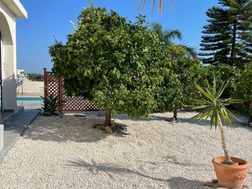 Villa Coral Bungalow