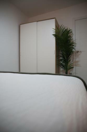 Apartamento Casa Sim�n