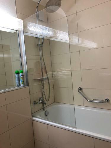 Apartamento Relaxt In Disentis