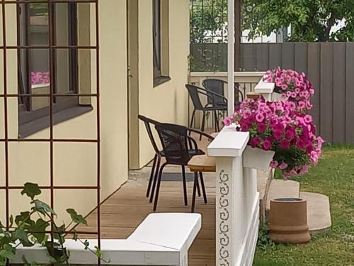 Apartamento Pihtla Tee K�laliskorter 1