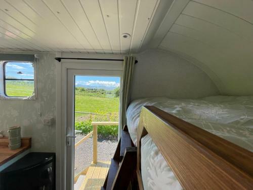 Pant Y Rhedyn Glamping And Camping Site