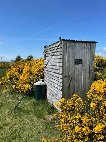 Pant Y Rhedyn Glamping And Camping Site