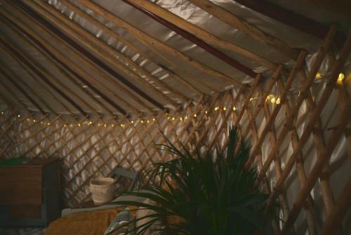 Elf Yurt - Yurtopia