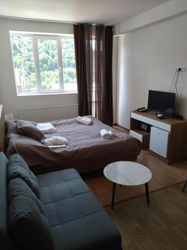 Apartamento Bakuriani 324
