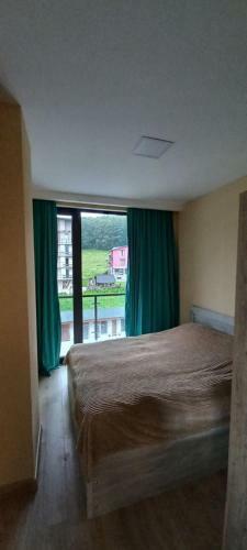 Bakuriani-m25, Apartment 404