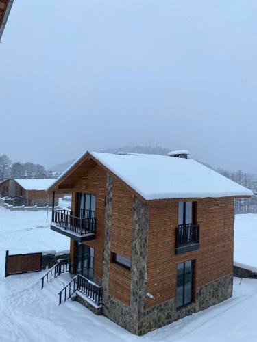 Villa Near Didveli