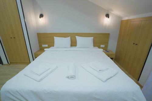 Leo Group Luxury Apartment 05-562 Bakuriani Inn