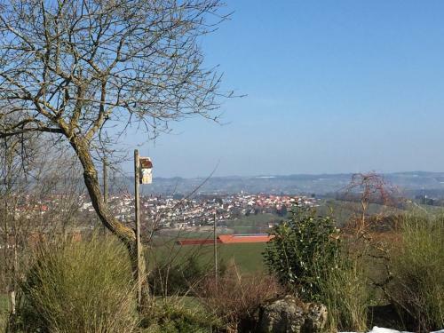 Apartamento Ferienhof Theo