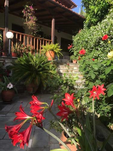 Apartamento Afissos-dream 3studios