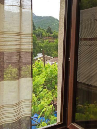 Apartamento Guest House David