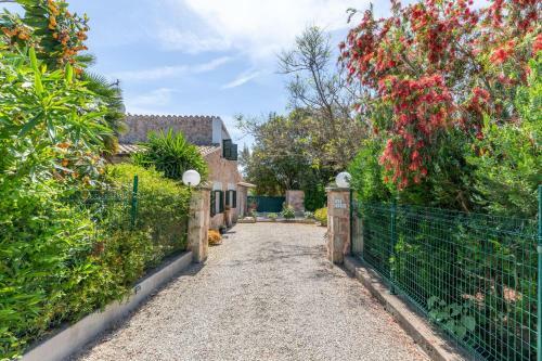 Alcudia-3836, Mallorca