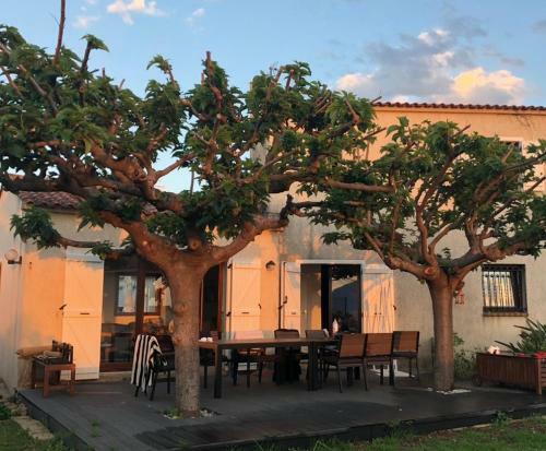 Villa Maison Agosta Plage