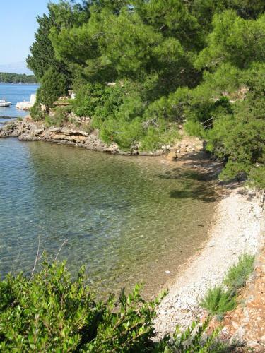 Apartments Jole - 70m From The Sea