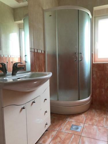 Apartment Milica