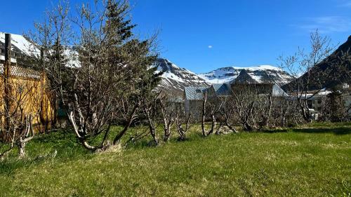 Hostal Westfjords - Rooms