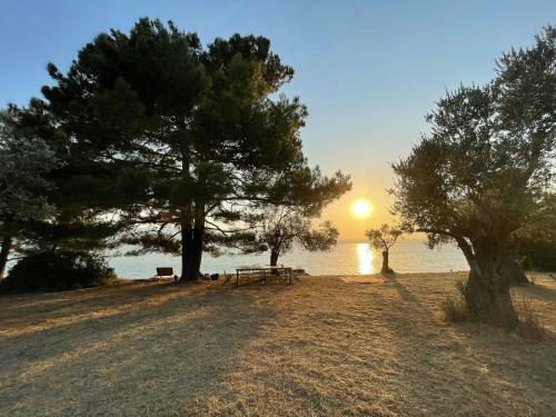 Villa Port Olivier