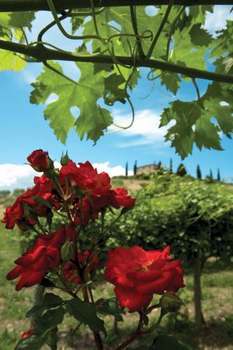 Hotel Relais Todini