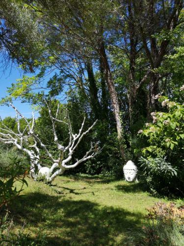 Bed & Breakfast Le Mas Des Anges