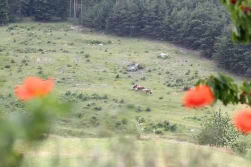 Agroturismo Ferme De Sejour Rebuffel