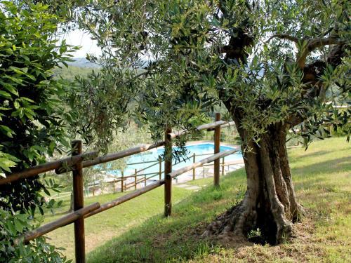 Apartment Olivo Citta Della Pieve
